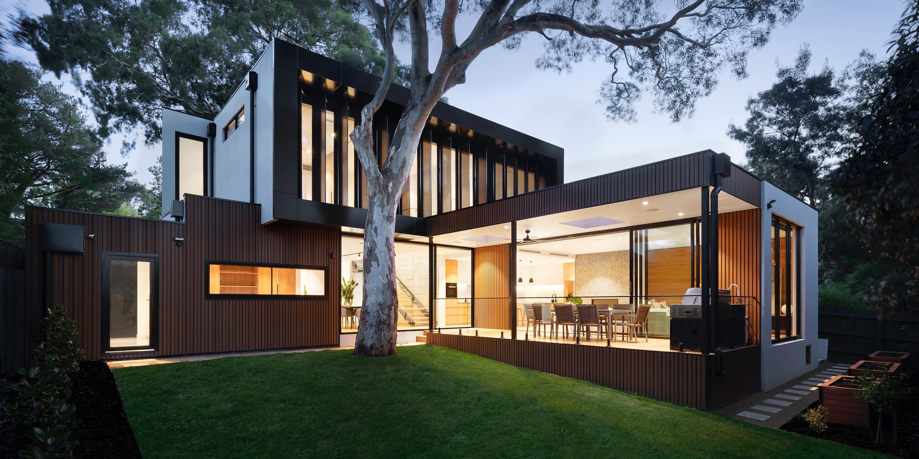 Modern house backyard with big tree